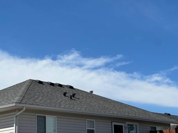 Emergency Roof Repair Services in Town Creek, AL